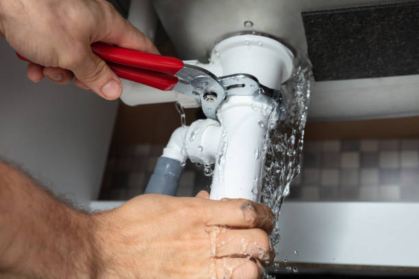 Best Water damage restoration near me  in Jan Phyl Village, FL