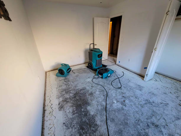 Best Water damage restoration near me  in Jan Phyl Village, FL
