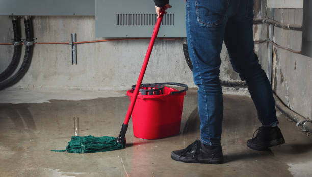 Best 24-hour water damage restoration  in Jan Phyl Village, FL