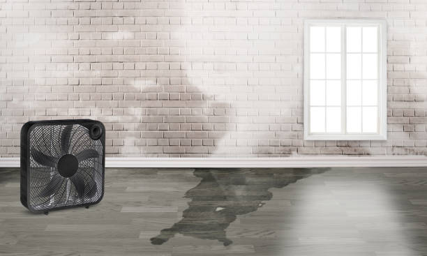 Best Emergency water damage restoration  in Jan Phyl Village, FL