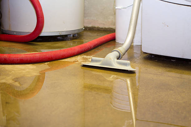 Best Emergency water damage restoration  in Jan Phyl Village, FL