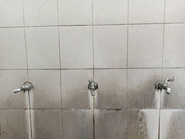 Sewage cleanup and water damage restoration in Jan Phyl Village, FL