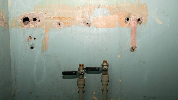 Best Water damage cleanup near me  in Jan Phyl Village, FL