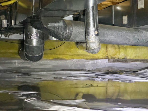 Best Mold removal after water damage  in Jan Phyl Village, FL