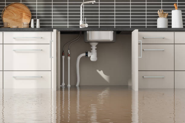 Best Flood restoration services  in Jan Phyl Village, FL