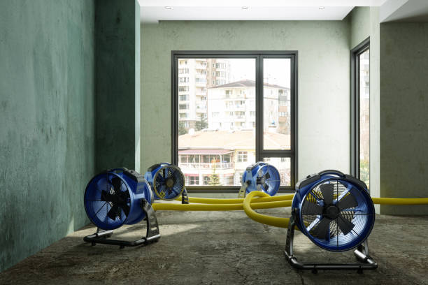 Best Ceiling water damage repair  in Jan Phyl Village, FL