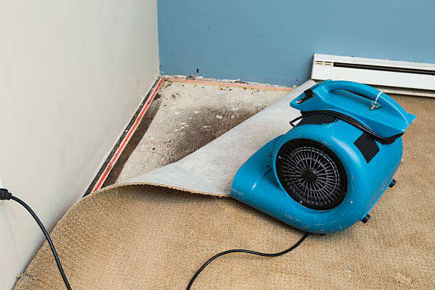 Best 24-hour water damage restoration  in Jan Phyl Village, FL